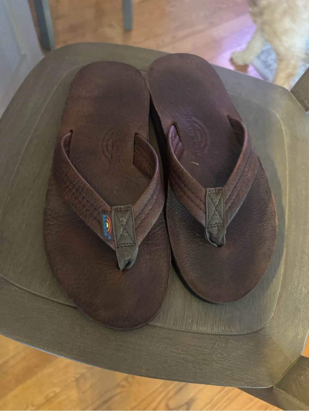Rainbow Sandals Ladies Luxury Leather - Double Layer Arch Support with 1